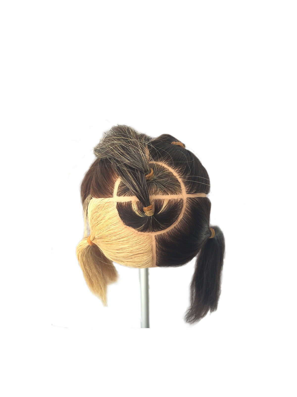 6-Zone (#10127)