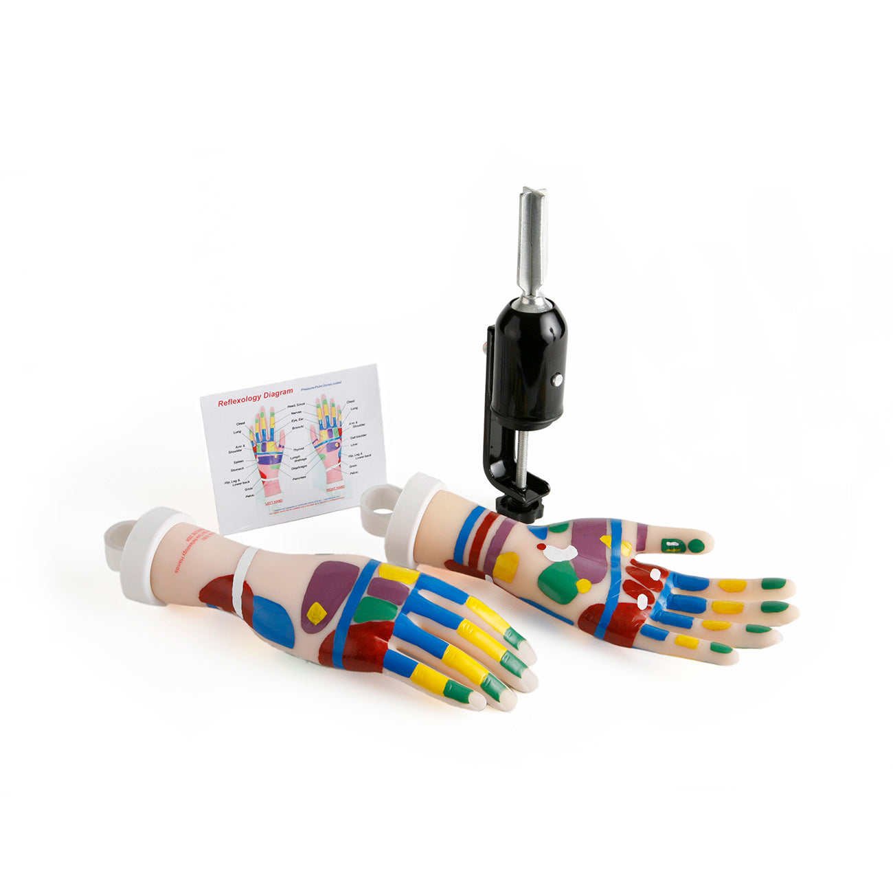 Reflexology Hands Tool Kit: Light, Pre-marked (#70045)
