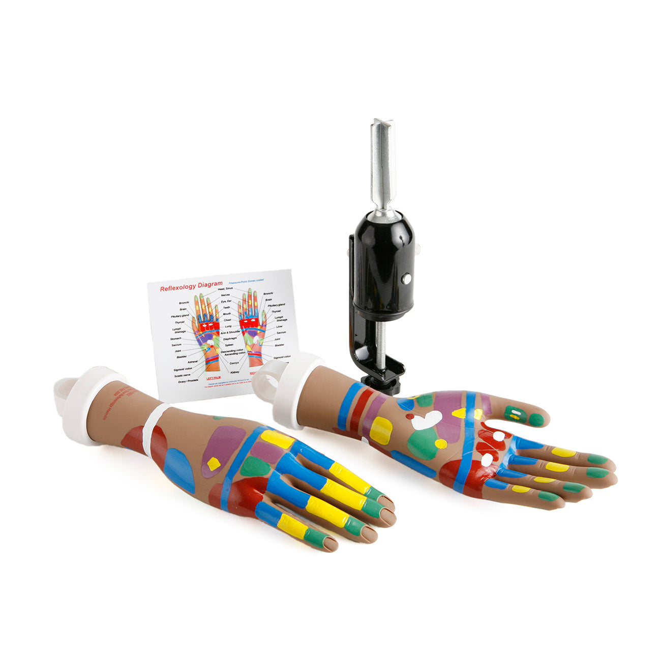 Reflexology Hands Tool Kit: Tan, Pre-marked (#70046)