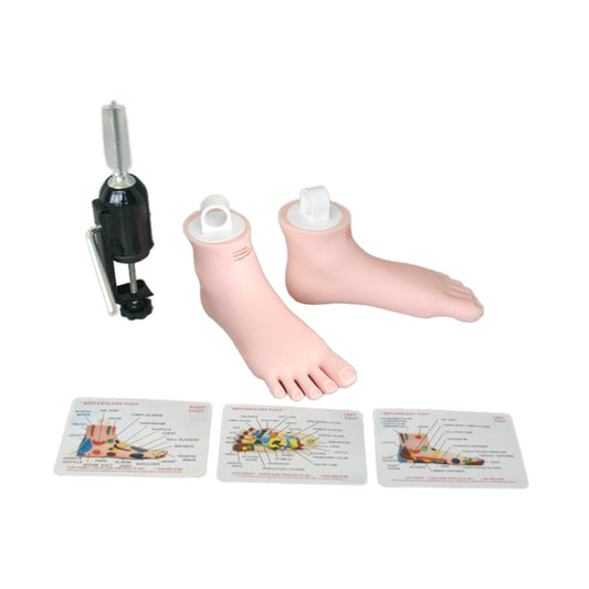 Reflexology Feet Tool Kit: Light, Plain (#70068)