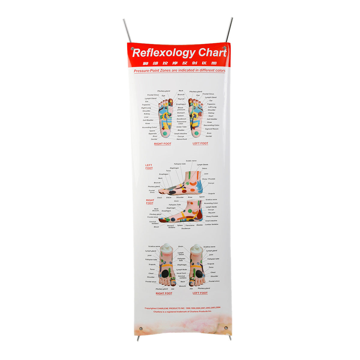 Reflexology Feet Poster with Foldable Stand (#70164)