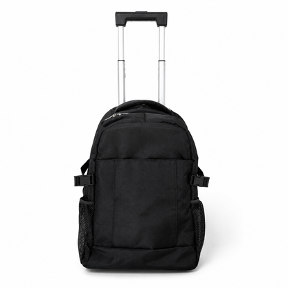 Rolling luggage case, handle detail