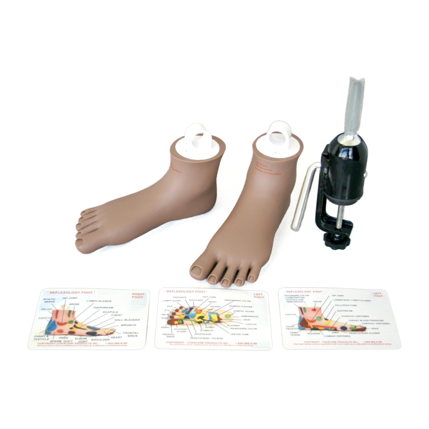 Reflexology Feet Tool Kit: Tan, Plain (#70067)