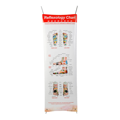Reflexology Feet Poster with Foldable Stand (#70164)